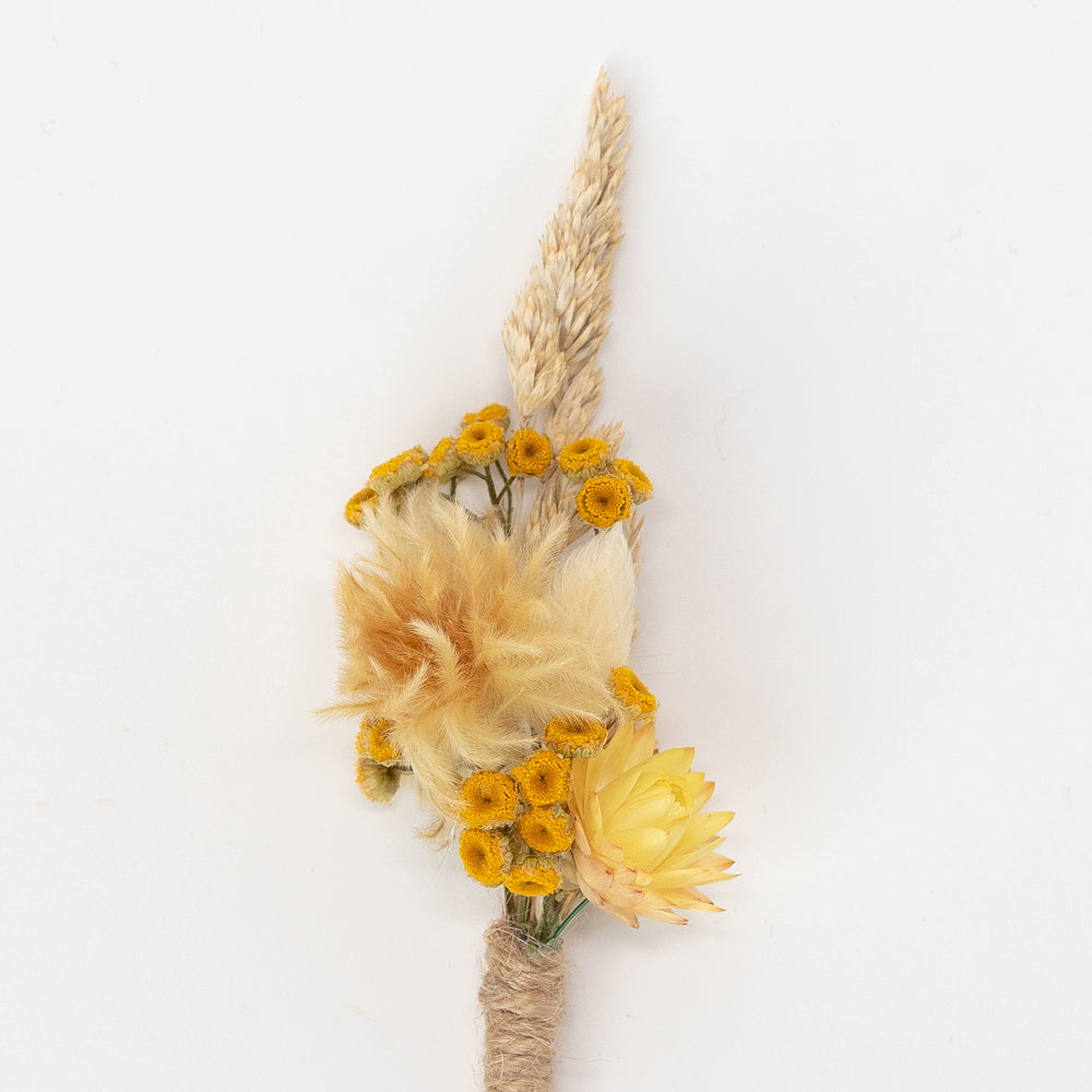 Twee & Co Dried Flowers