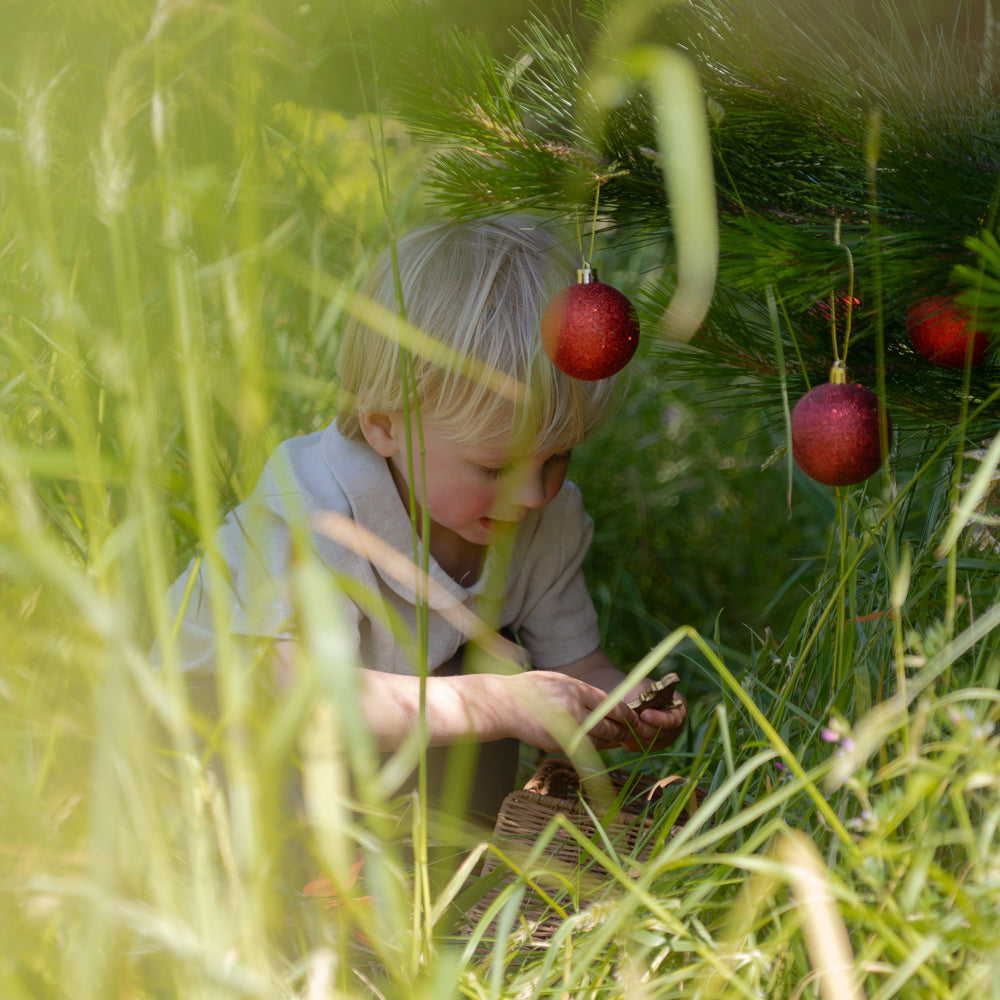 Boy placing decoration on tree