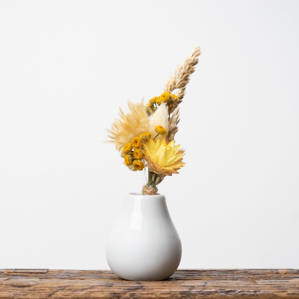 Twee & Co Dried Flowers displayed in vase