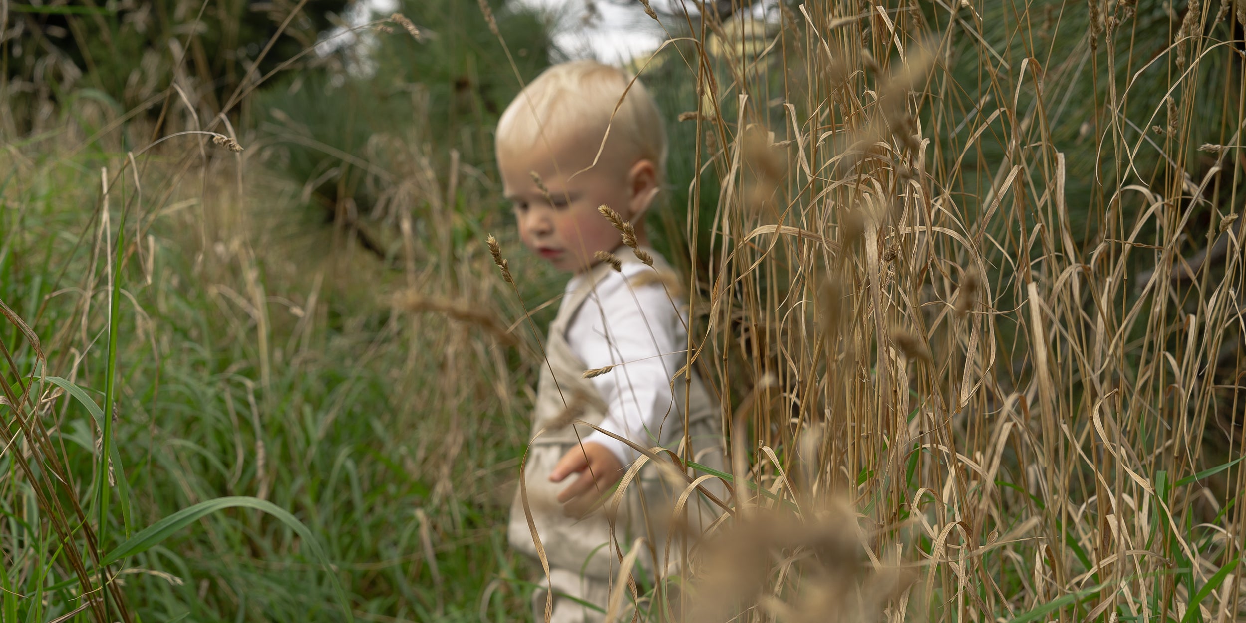Organic clothing for babies, toddles, children made in NZ by Twee and Co